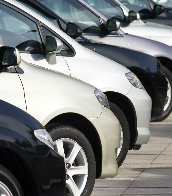 We manage groups of motor vehicles owned or leased by any private business with no hassle